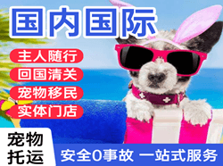 东阳横店机场物流国际宠物托运 【国